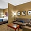 Comfort Inn & Suites Lynchburg Airport - University Area