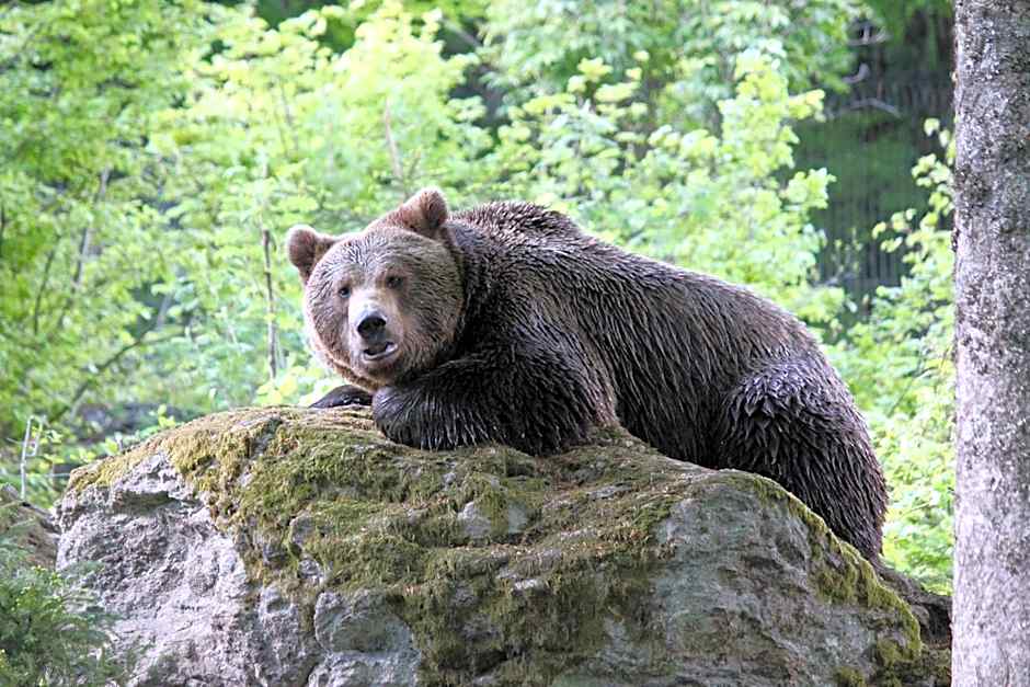 Hotel Dreisonnenberg