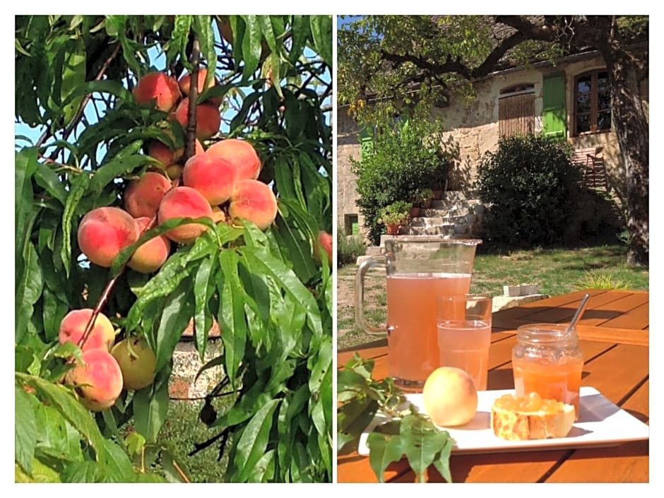 A L'Ombre du Tilleul