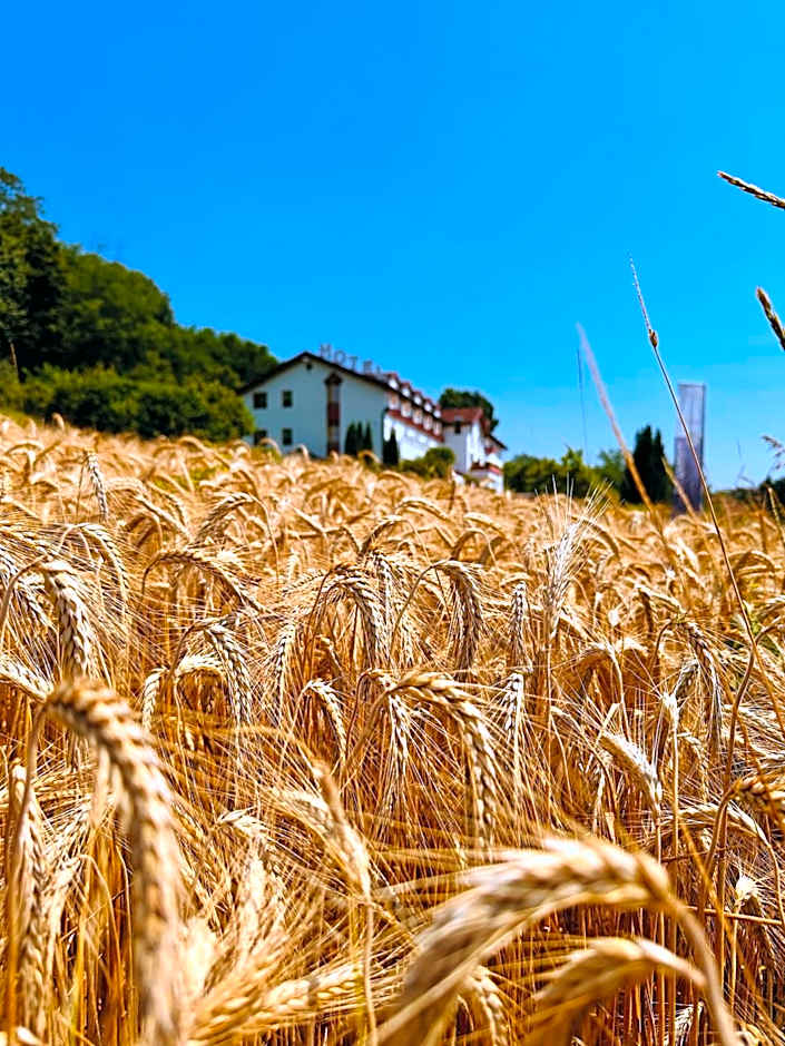 Familien Hotel Krainz