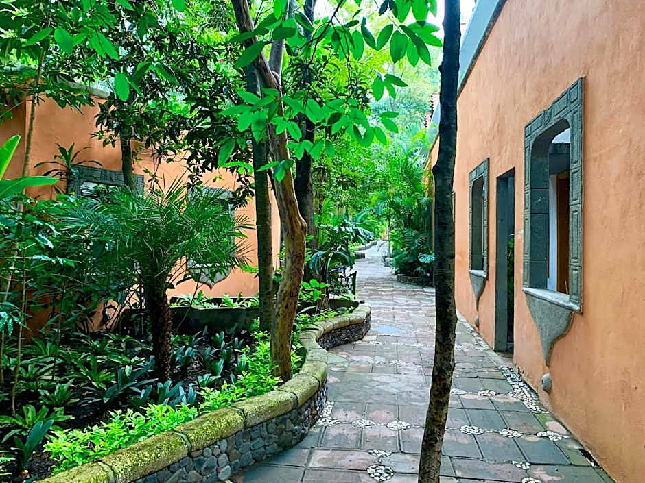 Hotel La Casa de los Árboles Immersive Experience