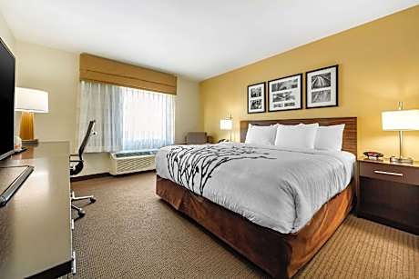 King Room - Non-Smoking