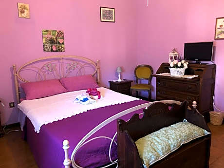 King Room with Garden View