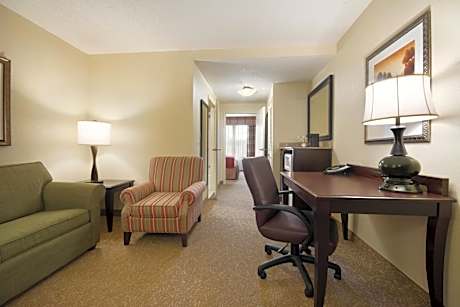 One-Bedroom King Suite - Non-Smoking