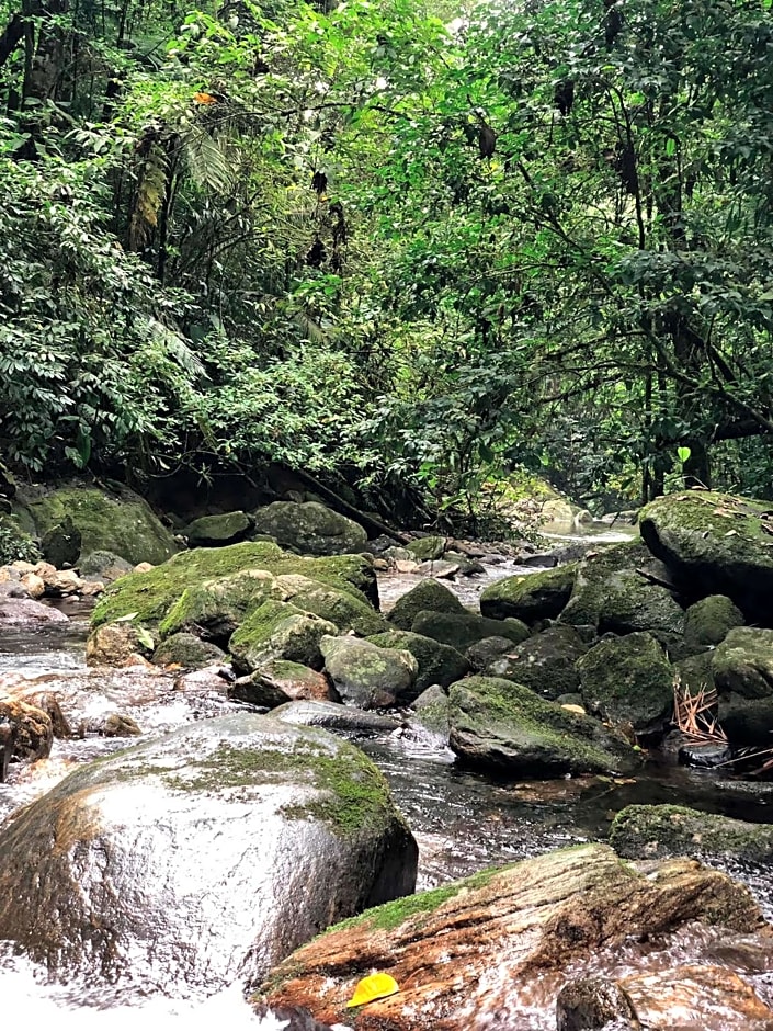 Hostel e Camping Rio das Pedras