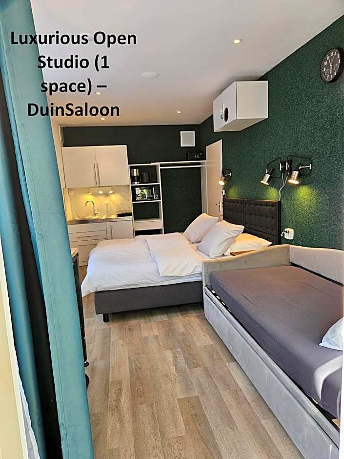 DuinVliet - Zandvoort Dunes & Free Parking