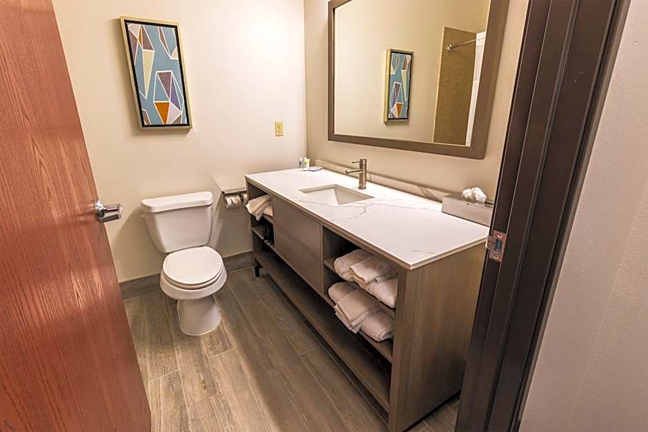 Comfort Inn & Suites New Iberia - Avery Island