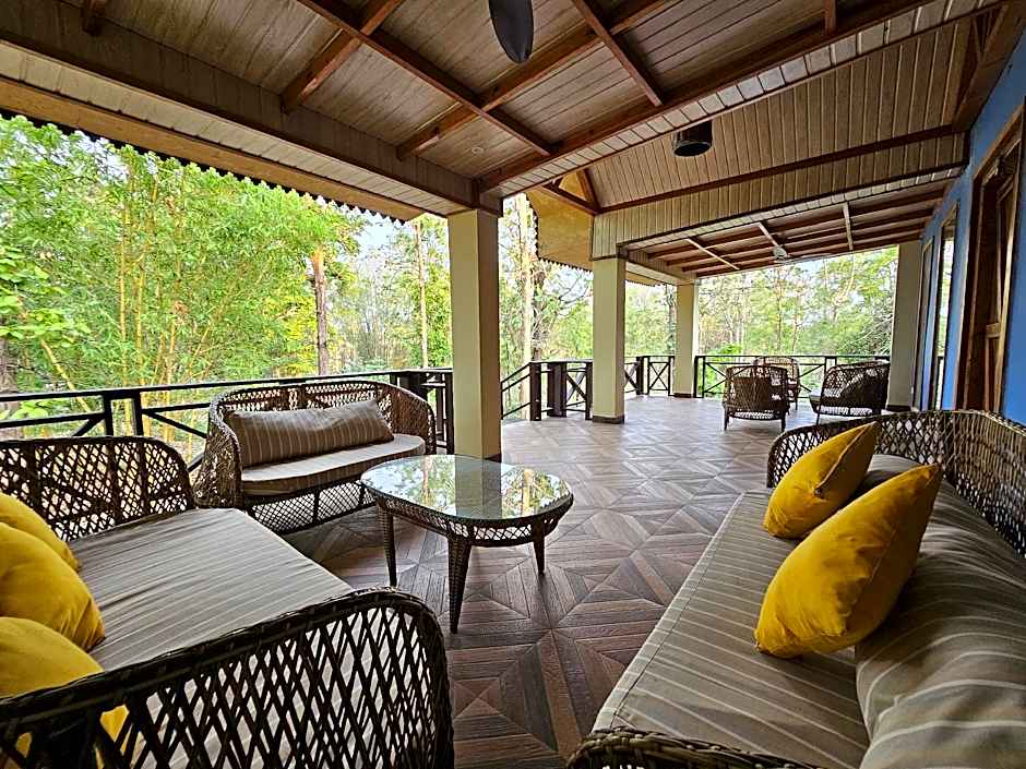 The Celebration Van Vilas