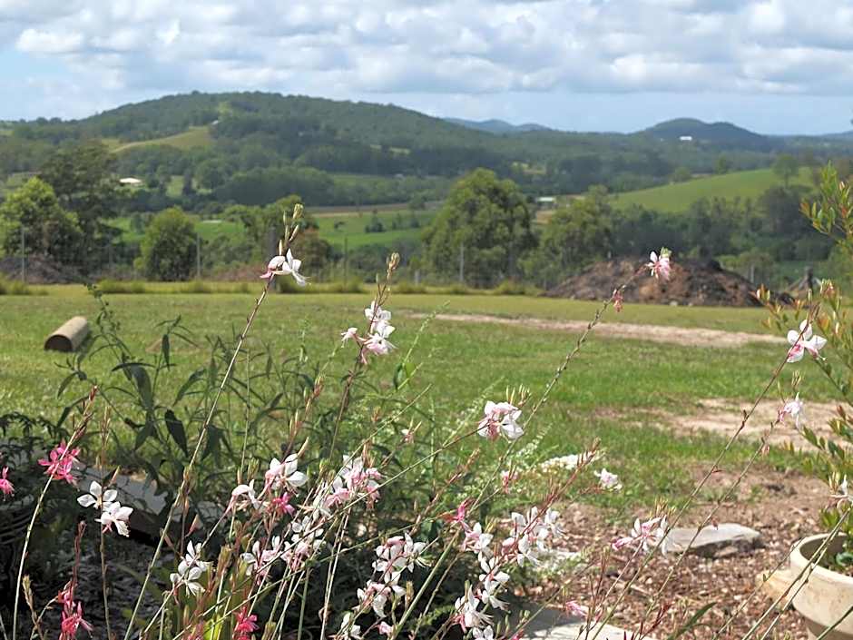 BellbirdHill Bed & Breakfast