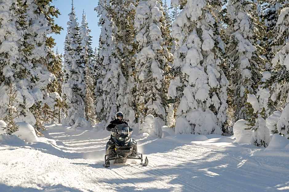 Explorer Cabins at Yellowstone