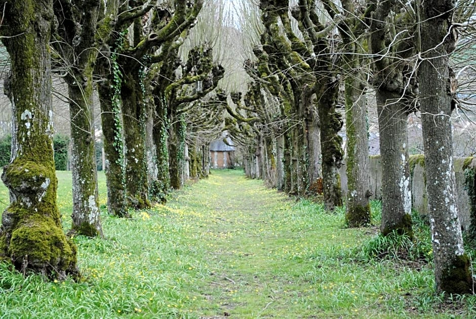 Suite au château - Domaine de la Gavolerie