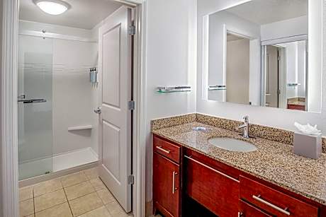 Suite, 1 Bedroom (1 King Bed and 1 Double Sofa Bed)