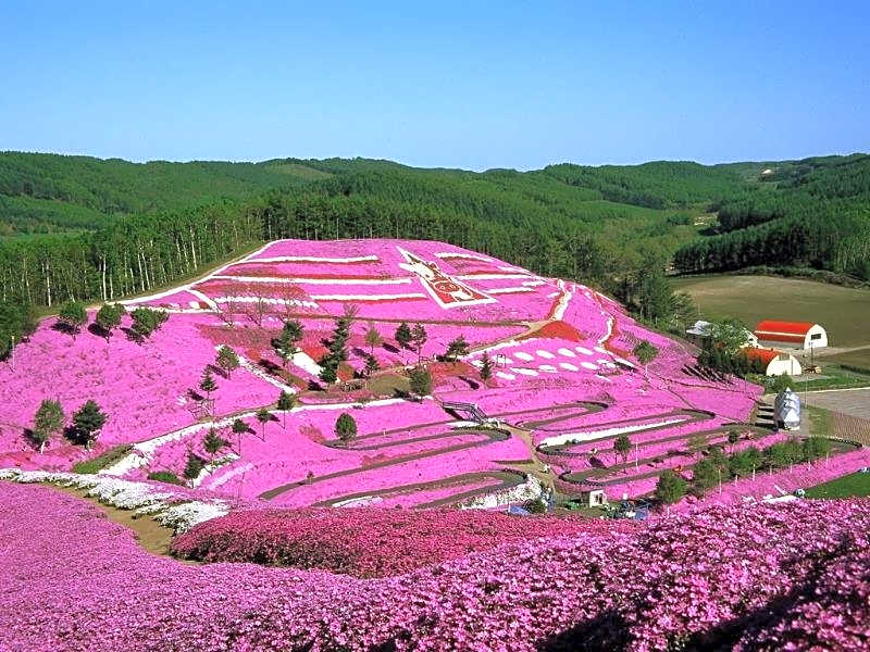 Kinkiyu Bettei SUIKAZURA