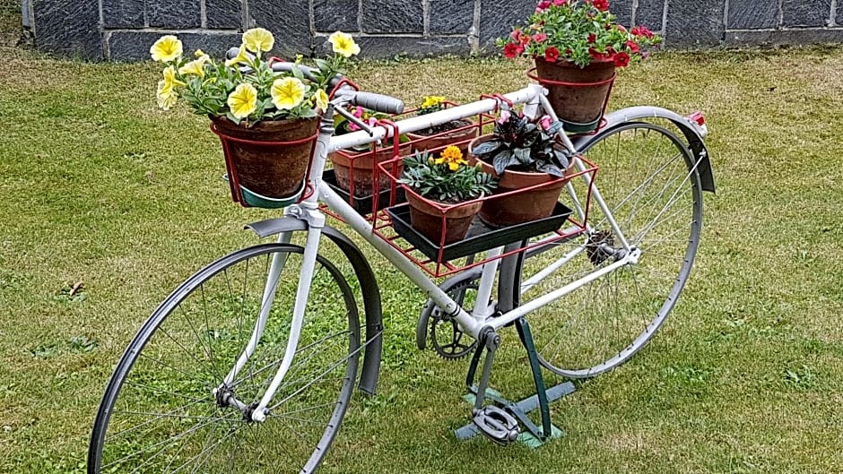 Bed & Breakfast Gli Oleandri