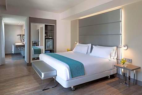 Superior Double or Twin Room with Terrace