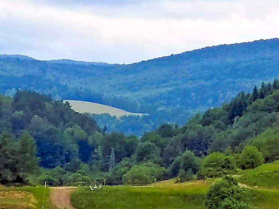 Domki i apartamenty nad jeziorem solińskim z basenem I widokiem na góry