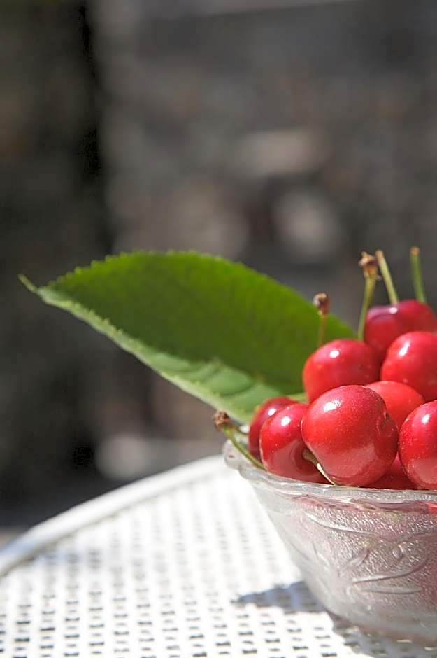 La Casa dei Nonni Castelbianco