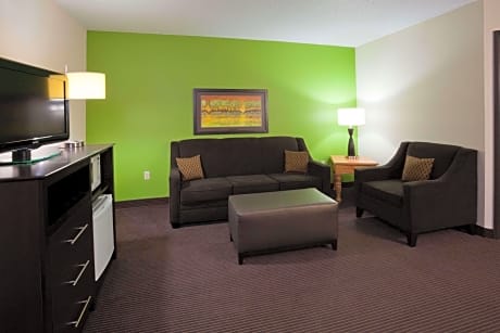 1 King Bed Deluxe One Bedroom Suite Non-Smoking