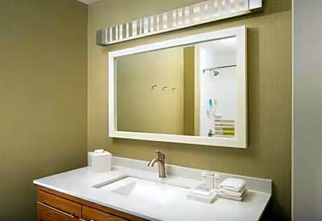 2Qn Mobilty/Hearing Access Ri Shwr Studio Ns