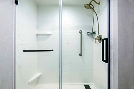 1 King Studio Suite/Fireplace/Non-Smoking