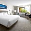 The Pell - JDV by Hyatt