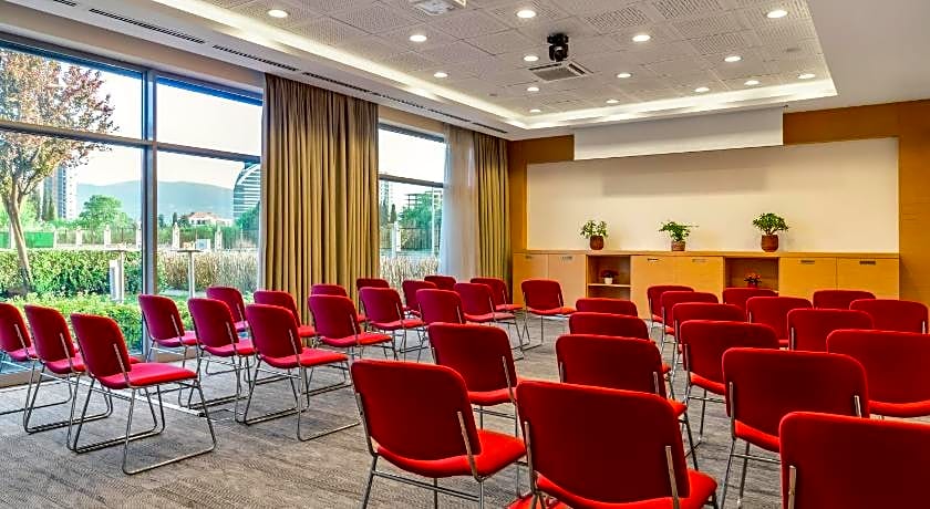 Ibis Bursa