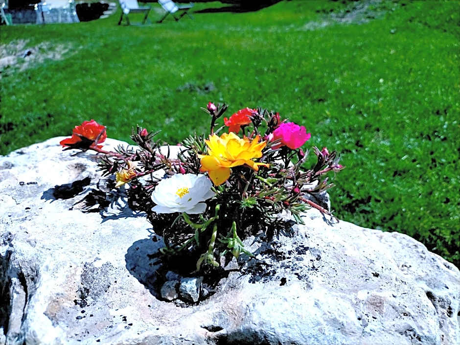 Hotel Flora Alpina
