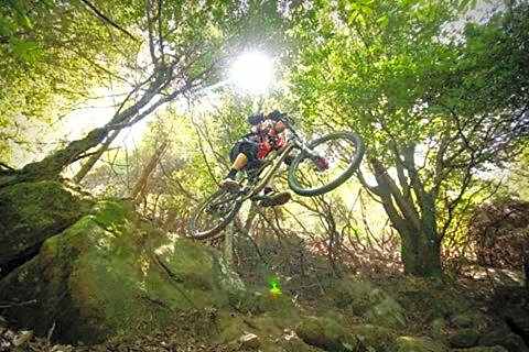 Residence il Mandorlo