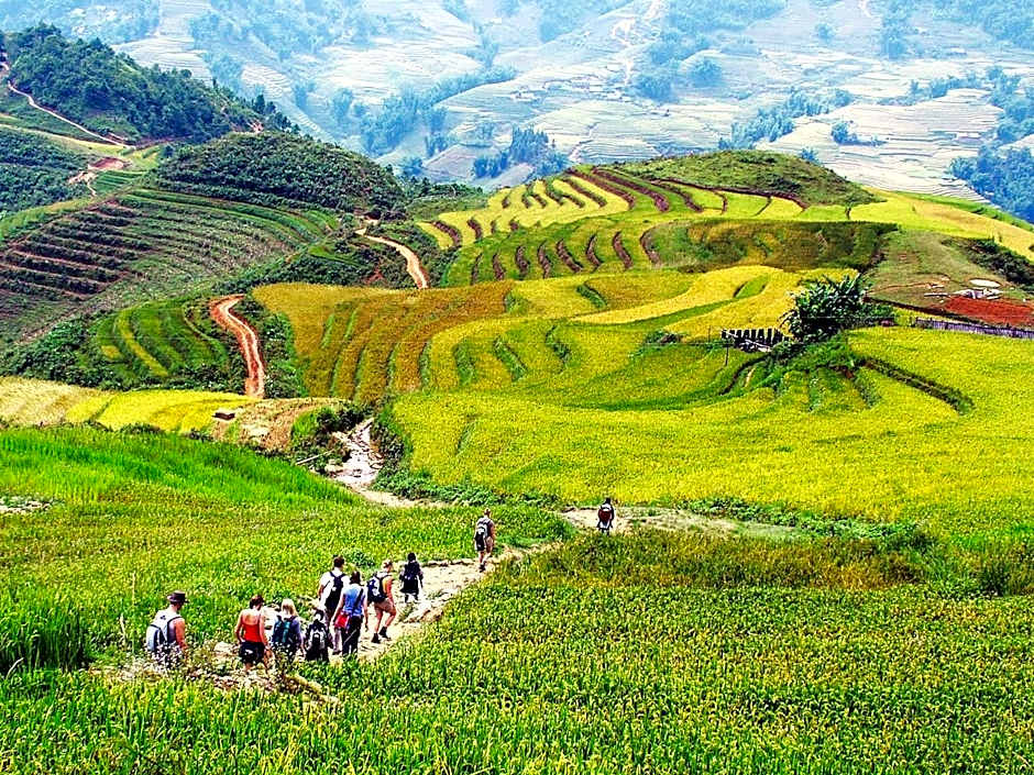 Anise Sapa Hotel