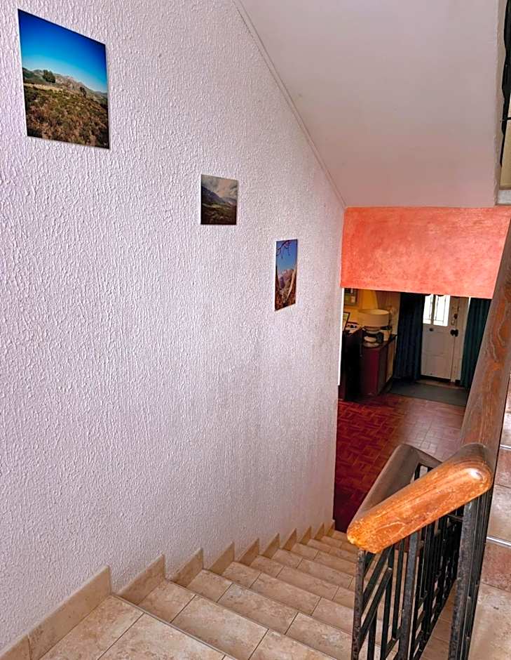 Hôtel - Pub Le Petit Bosquet