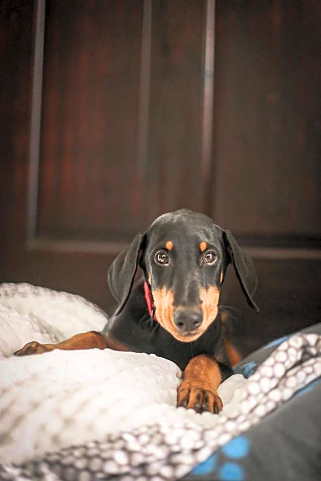 Hotel Villa Los Candiles