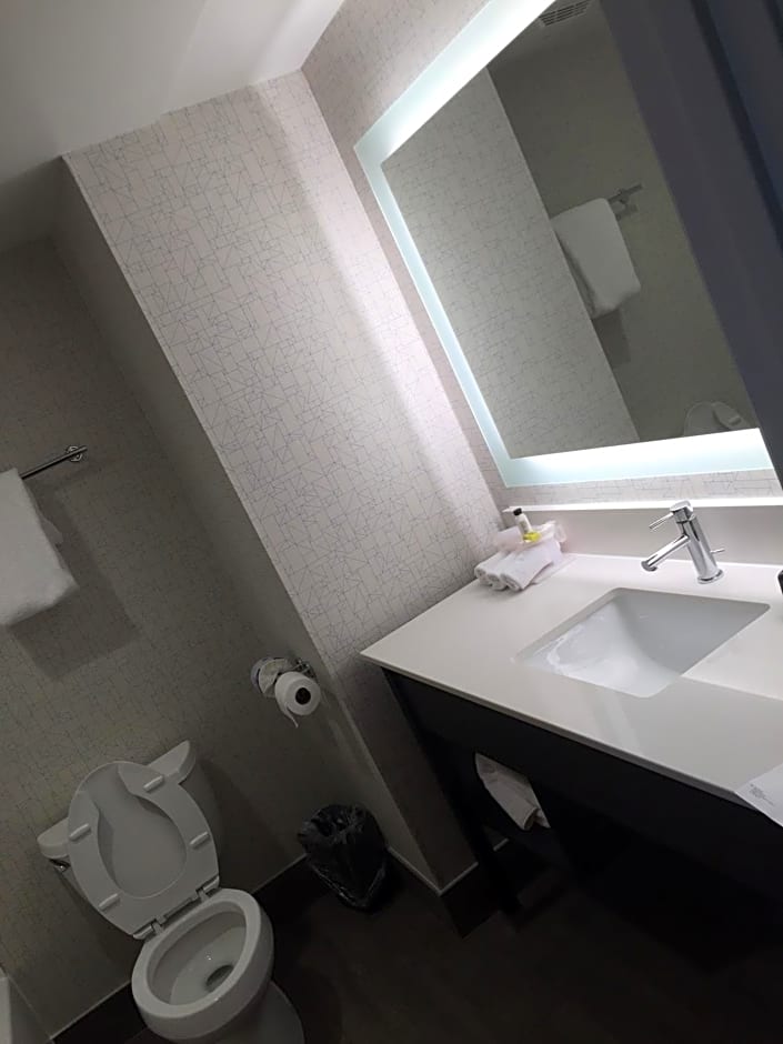 Holiday Inn Express Hotel & Suites Orangeburg, an IHG Hotel