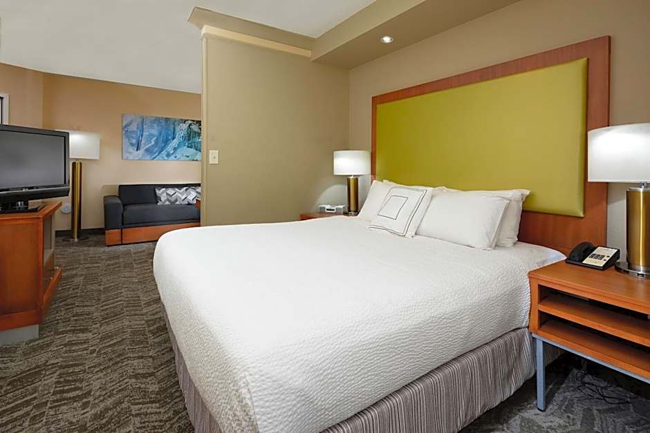SpringHill Suites by Marriott Lynchburg Airport/University Area