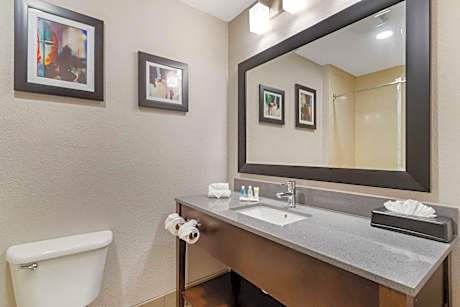 One-Bedroom King Suite with Whirlpool - Non-Smoking