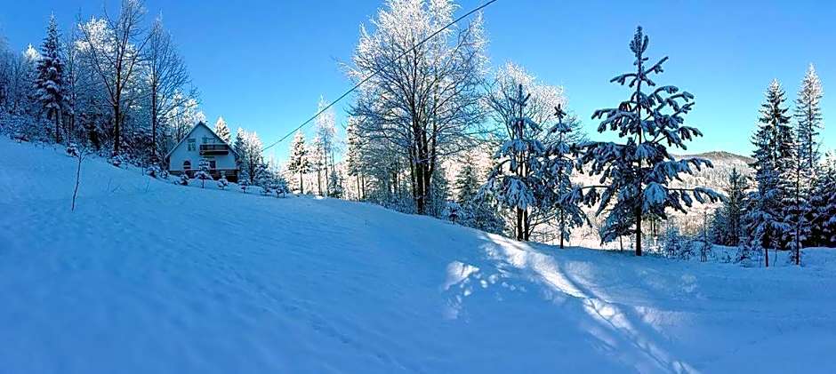 Șoaptele pădurii & Căsuța din pădure