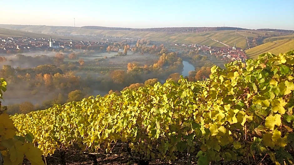Hotel am Torturm