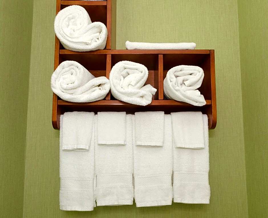 Hampton Inn By Hilton Hickory