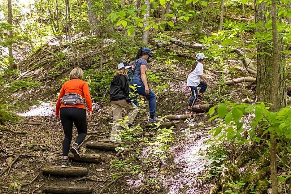 The Westin Trillium House, Blue Mountain