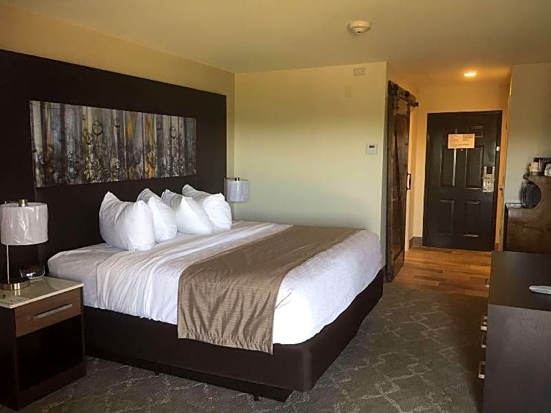 Aiden by Best Western Warm Springs Hotel and Event Center