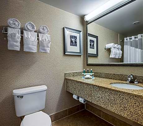1 King Suite Additional Living Area