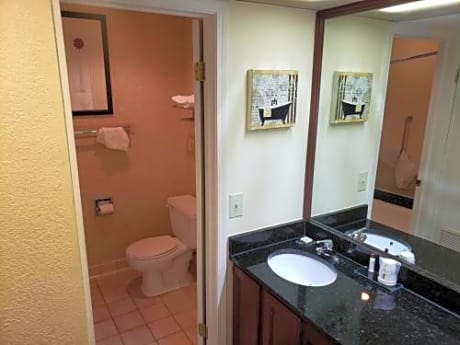 One-Bedroom Deluxe King Suite - Non-Smoking