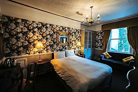 Executive Suite (No pets allowed)