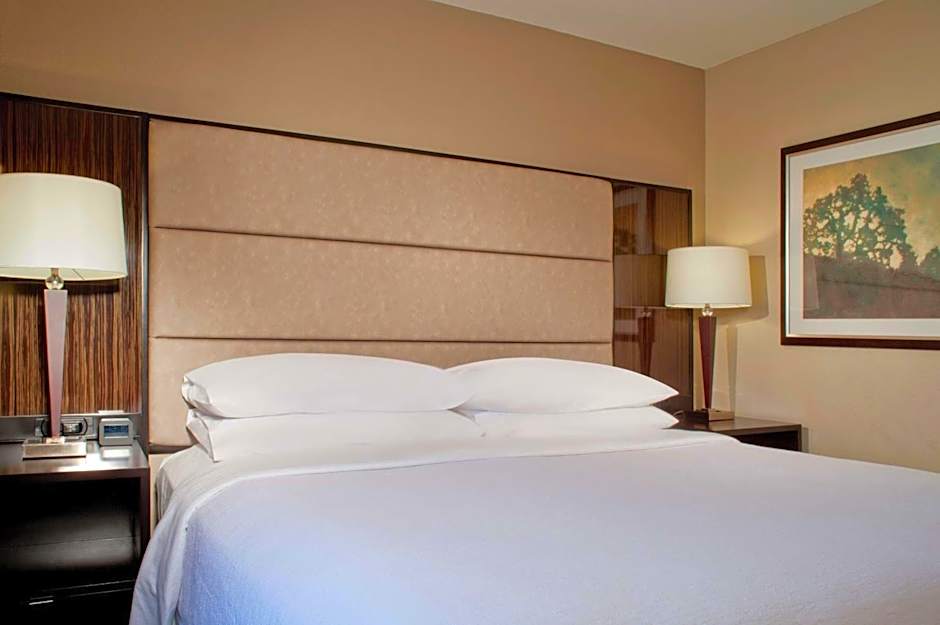 Embassy Suites by Hilton Houston Near the Galleria