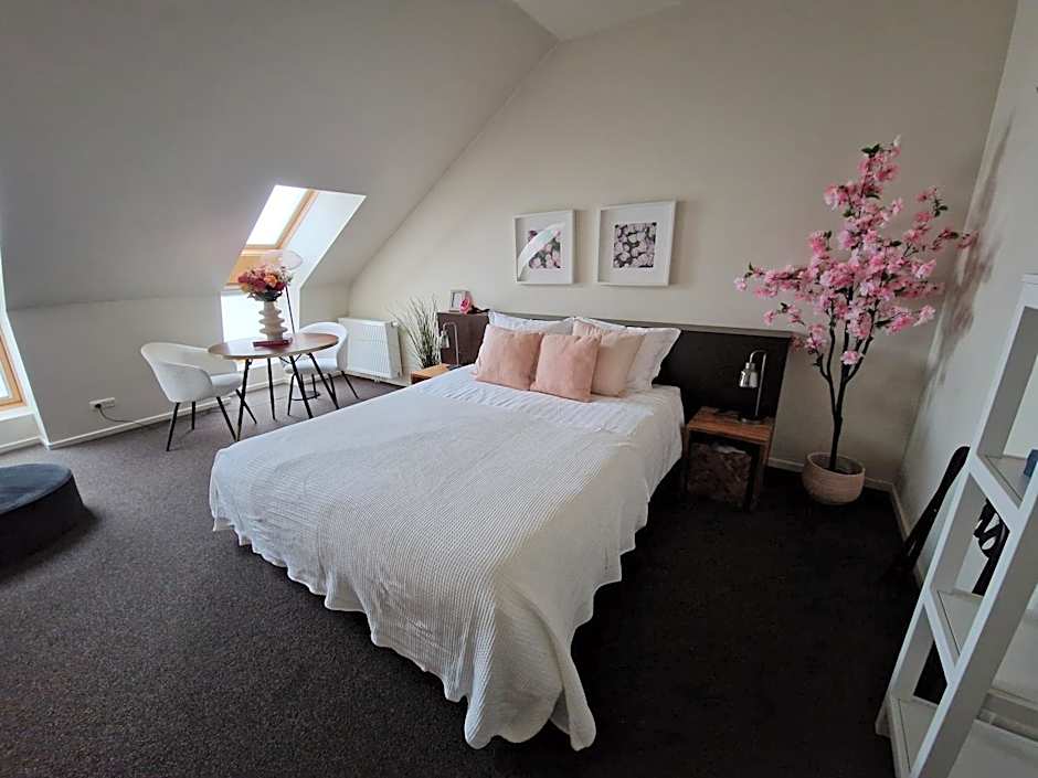 Boutique Hotel De Raetskamer