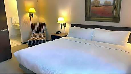 1 King Bed Nonsmoking