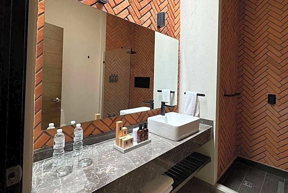 Esplendor by Wyndham San Luis Potosi Monarca