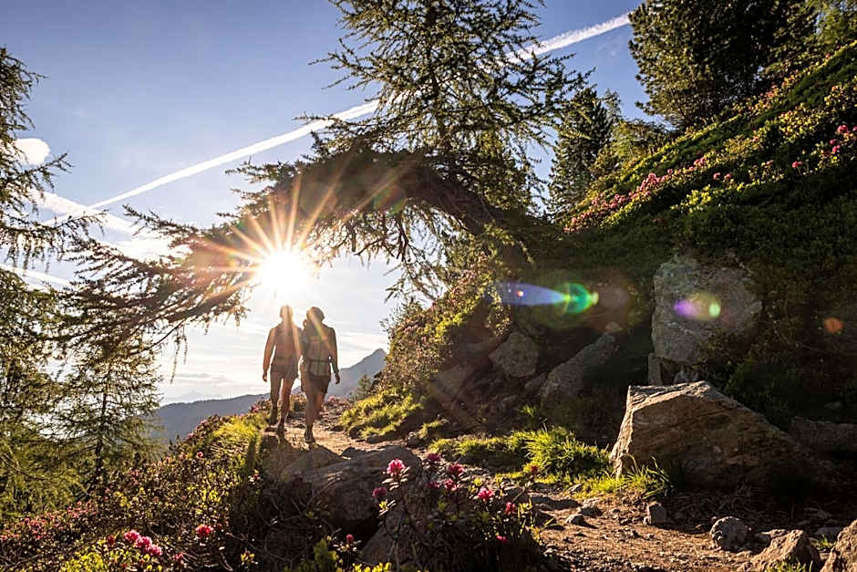 BinderS Budget City-Mountain Hotel