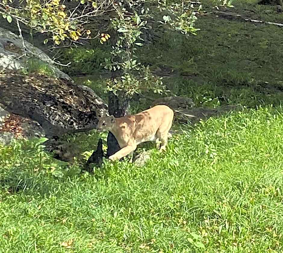 Holiday Inn Express Boone By IHG