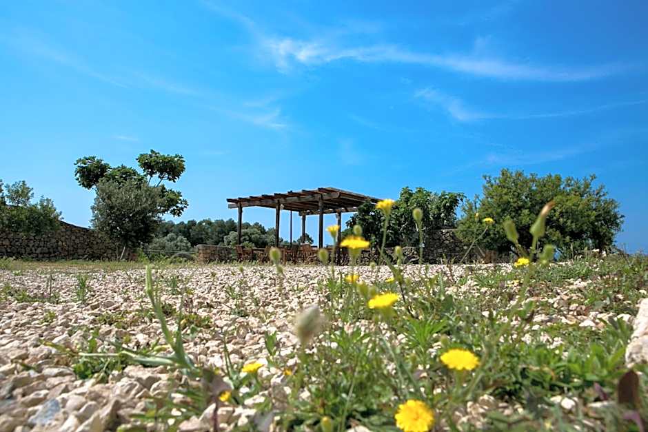 Antica Masseria Ficazzana - Tenuta