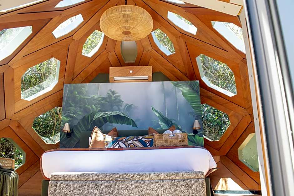 The Hive - Jungle at Misty Mountain Reserve